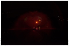 Christmas Garden Berlin 2018