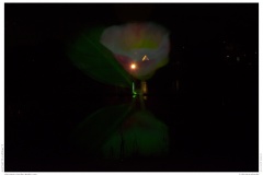 Christmas Garden Berlin 2018