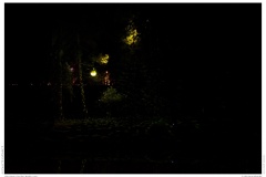 Christmas Garden Berlin 2018