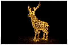 Christmas Garden Berlin 2018