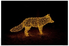 Christmas Garden Berlin 2018