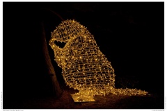 Christmas Garden Berlin 2018