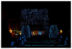 Christmas Garden Berlin 2018