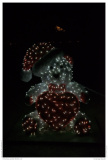 Christmas Garden Berlin 2018