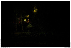 Christmas Garden Berlin 2018