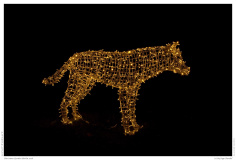 Christmas Garden Berlin 2018