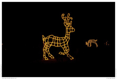 Christmas Garden Berlin 2018