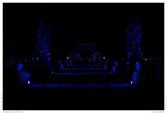 Christmas Garden Berlin 2018