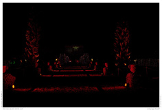 Christmas Garden Berlin 2018