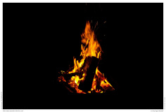 Christmas Garden Berlin 2018