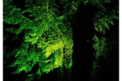 Christmas Garden Berlin 2018