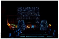 Christmas Garden Berlin 2018