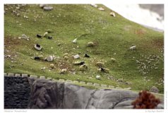 Miniatur Wunderland