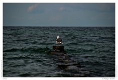 Ostsee