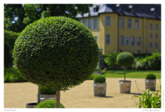 Schloß Dyck