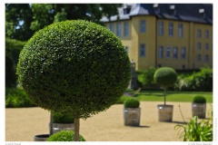 Schloß Dyck Schloß Dyck