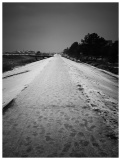 SPO im Februar