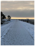 SPO im Februar