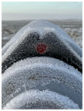 SPO im Februar