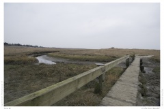 Brücke