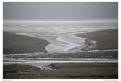 Butcher Bay