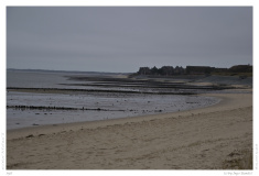 Sylt