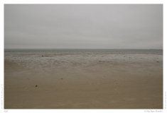 Sylt