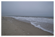 Sylt