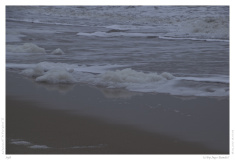 Sylt