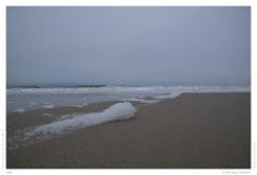 Sylt