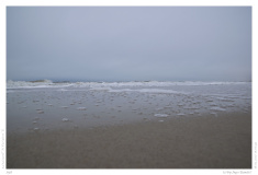 Sylt