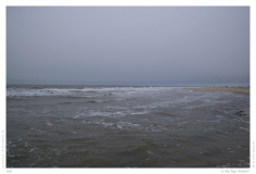 Sylt