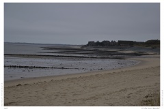 Sylt