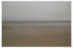 Sylt