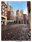 Den Haag