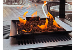 Den Haag