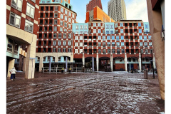 Den Haag