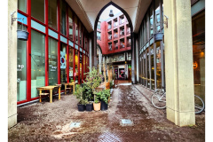 Den Haag