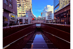 Den Haag