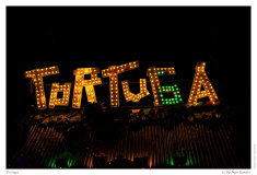 Tortuga