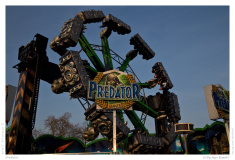 Predator
