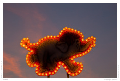 Dumbo