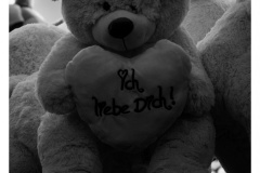 I live You I live You