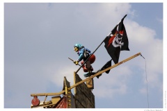 IMG_20110422_135224-Web