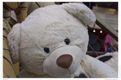 Teddy Teddy