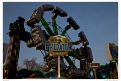 Predator Predator