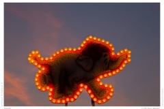 Dumbo Dumbo