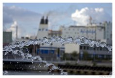 IMG_20090620_194240