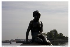 Die Meerjuungfrau von Kopenhagen
