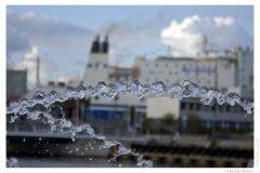 IMG_20090620_194240